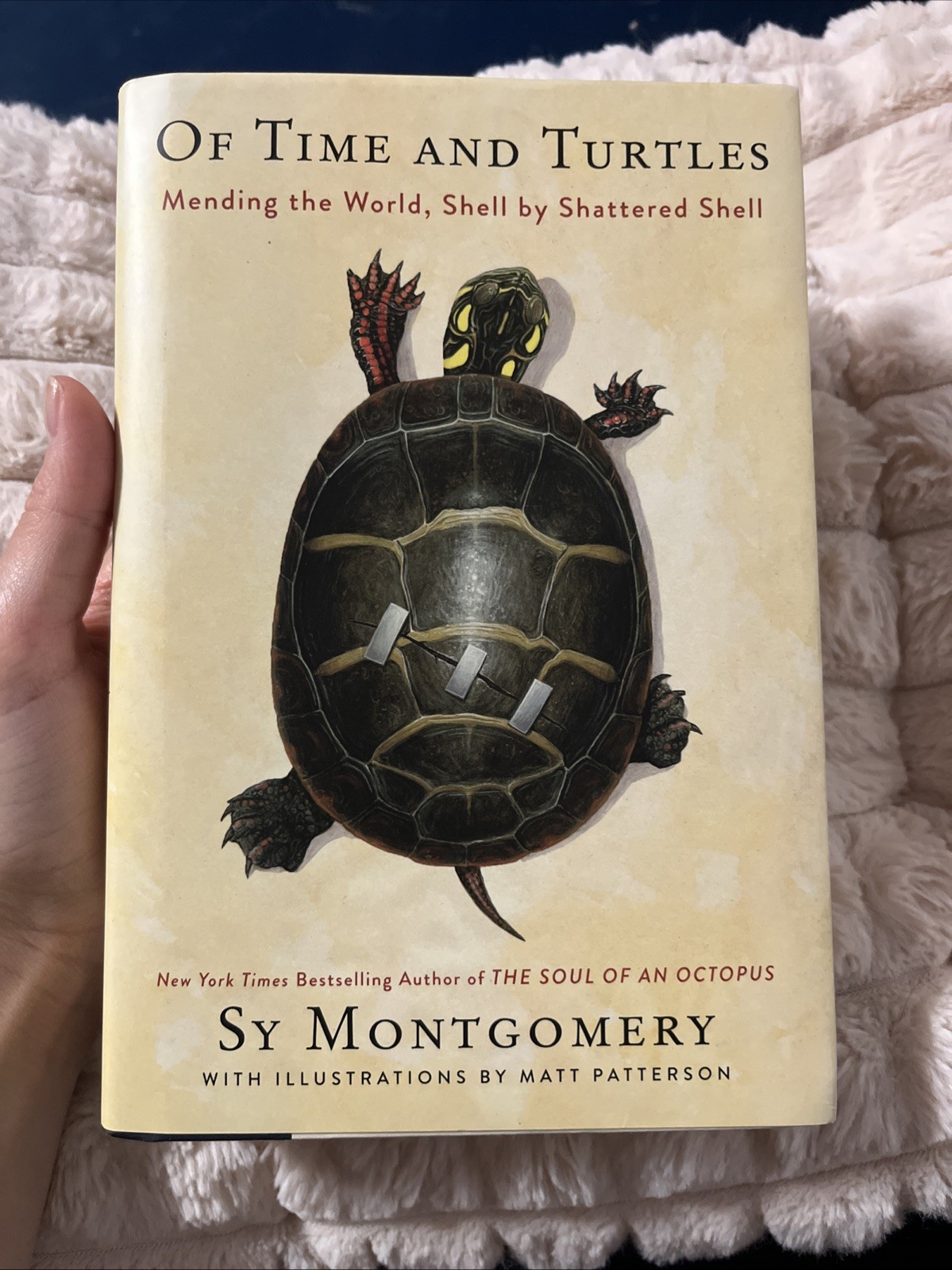 “Of Time and Turtles” by Sy Montgomery – hardcover with dustjacket