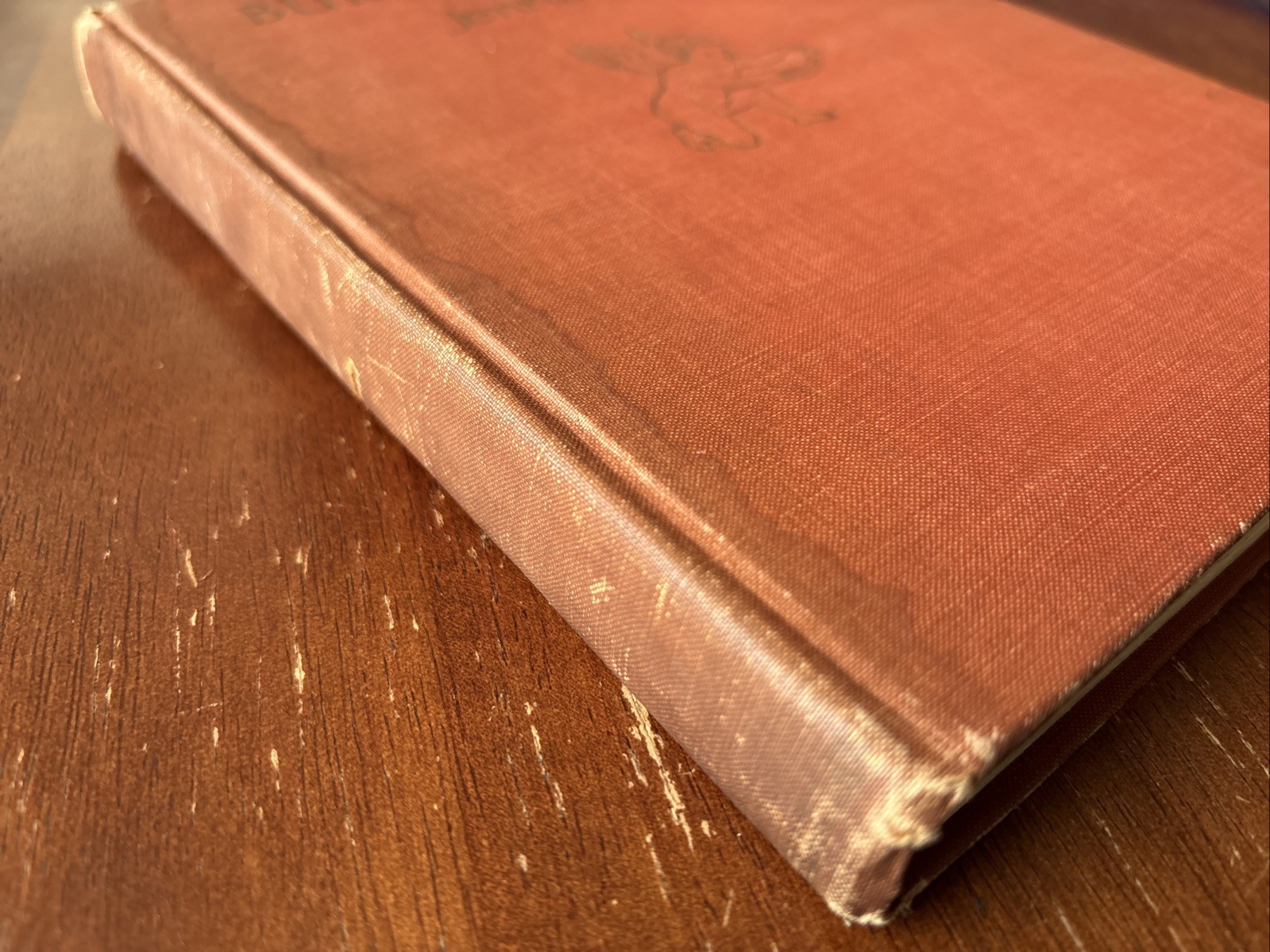 Buried Cities by Jennie Hall, 1923 First Edition 3rd Printing Rare Hardcover