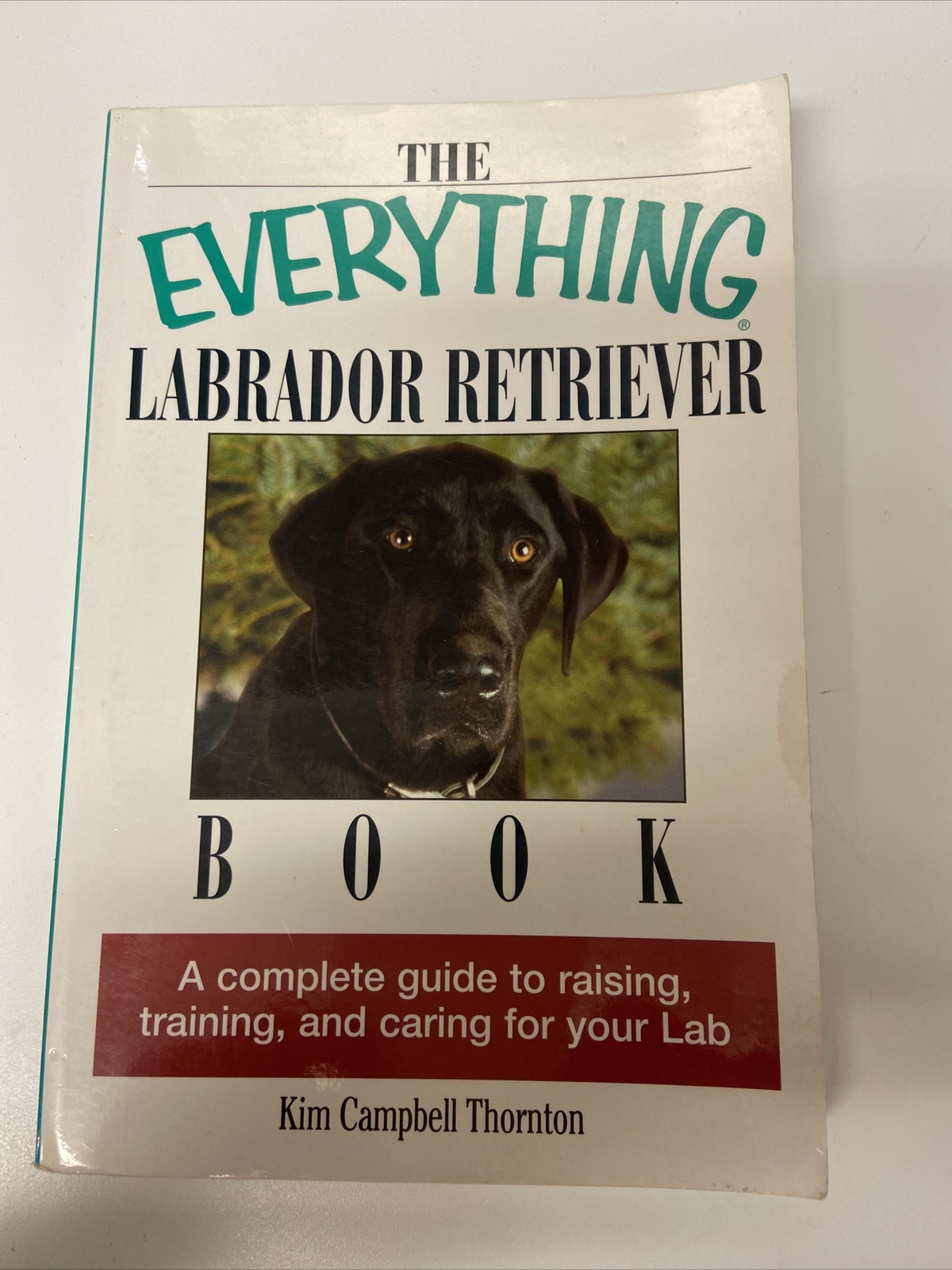 Everything® Ser.: Labrador Retriever Book : A Complete Guide to Raising,…