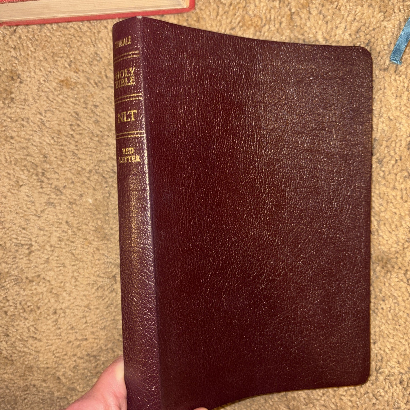 HOLY BIBLE Tyndale SLIMLINE Large Print 2004 BONDED LEATHER Burgundy NLT