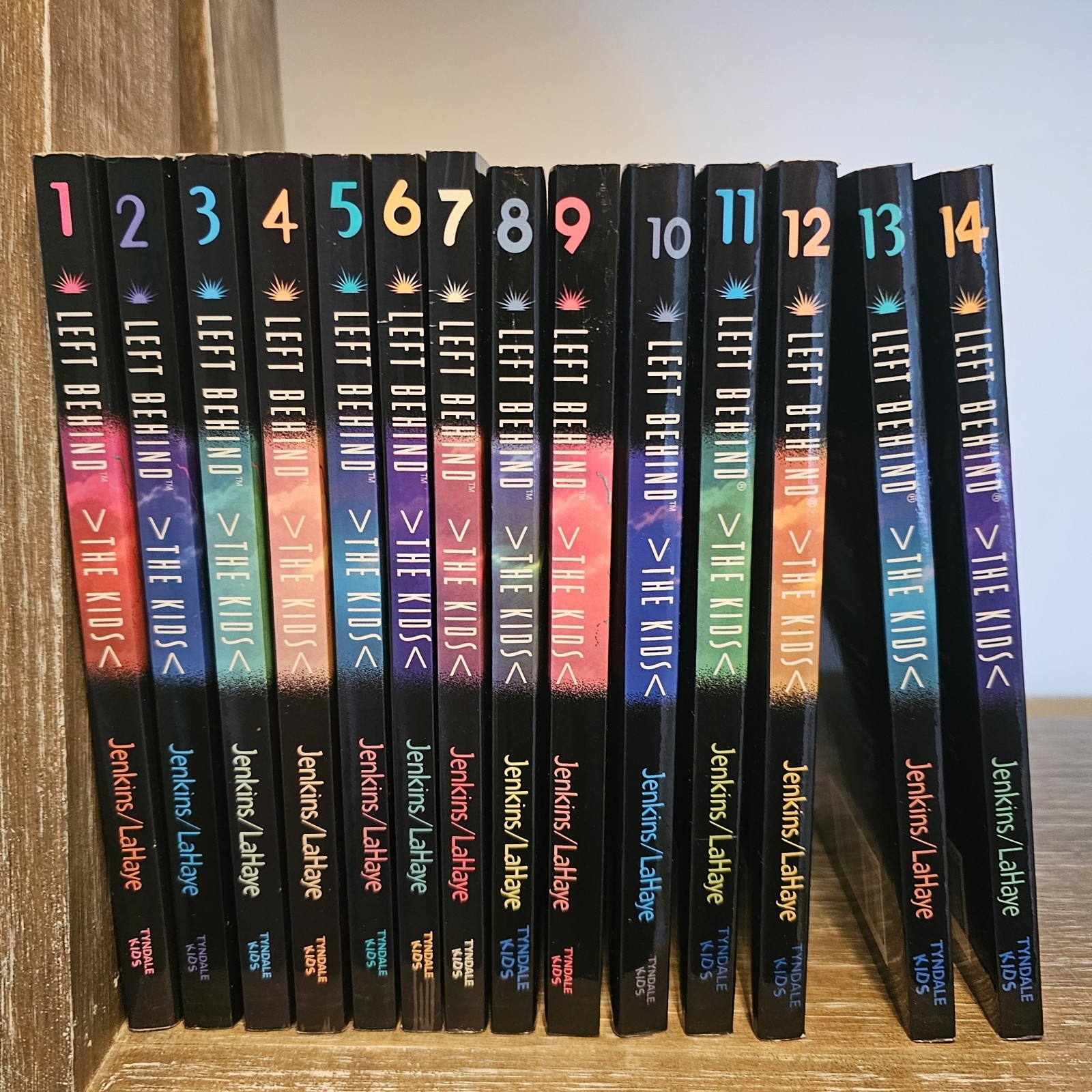 Jerry Jenkins/Tim LaHaye Paparback Book Lot Left Behind The Kids Books 1-14