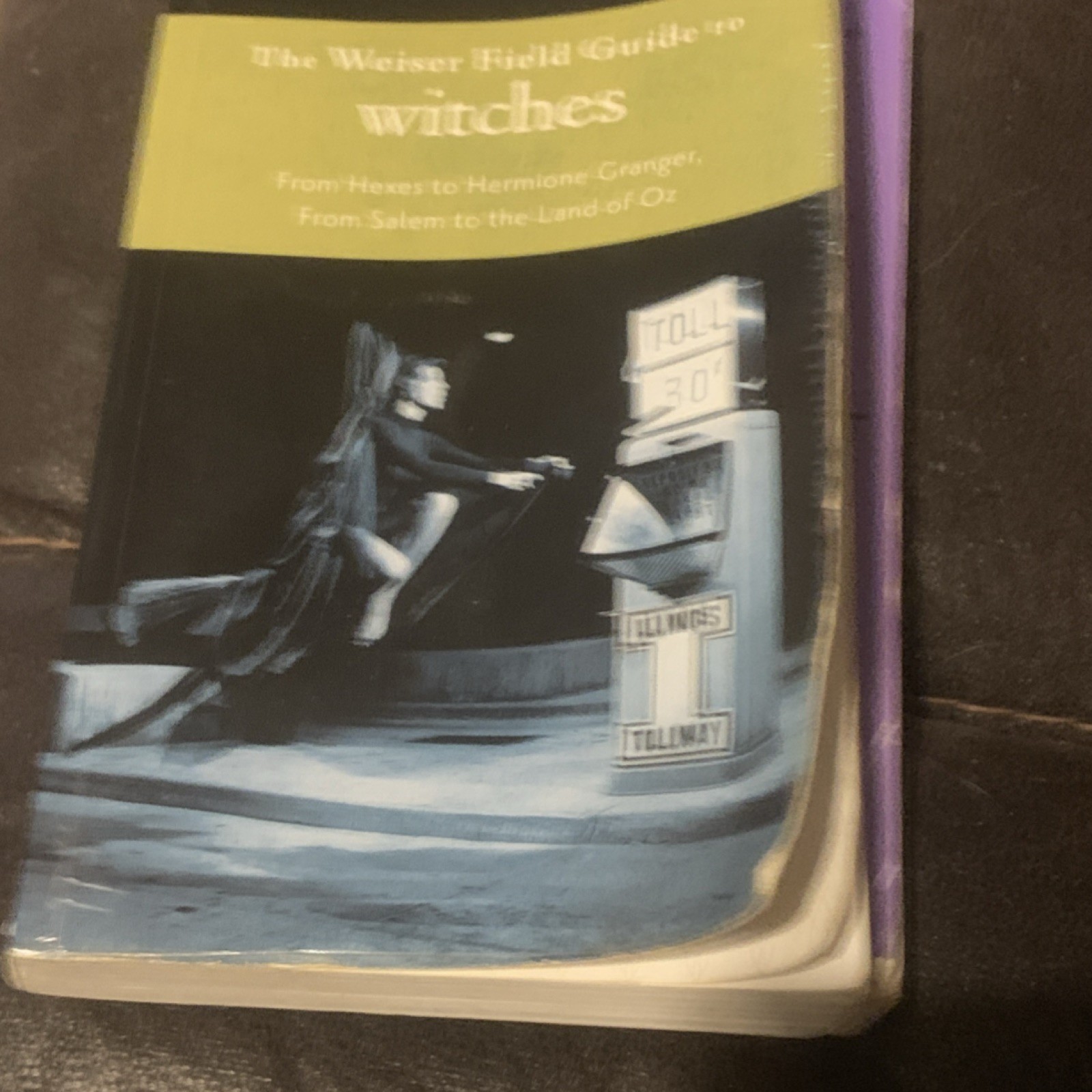 Red Wheel/Weiser Weiser Field Guide to Witches by Judika Illes 2010 Paperback