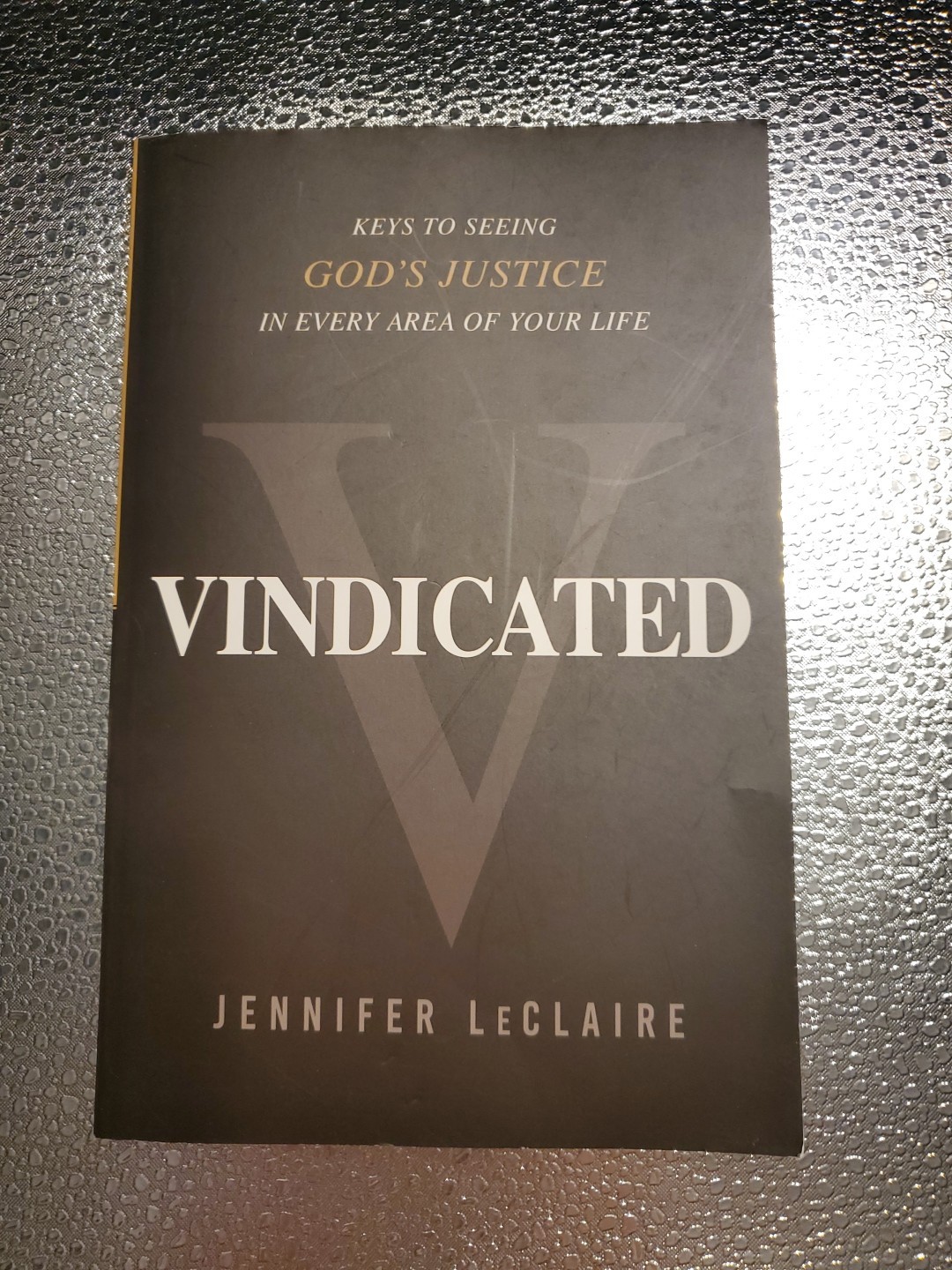 Jennifer Leclaire Vindicated (Paperback)