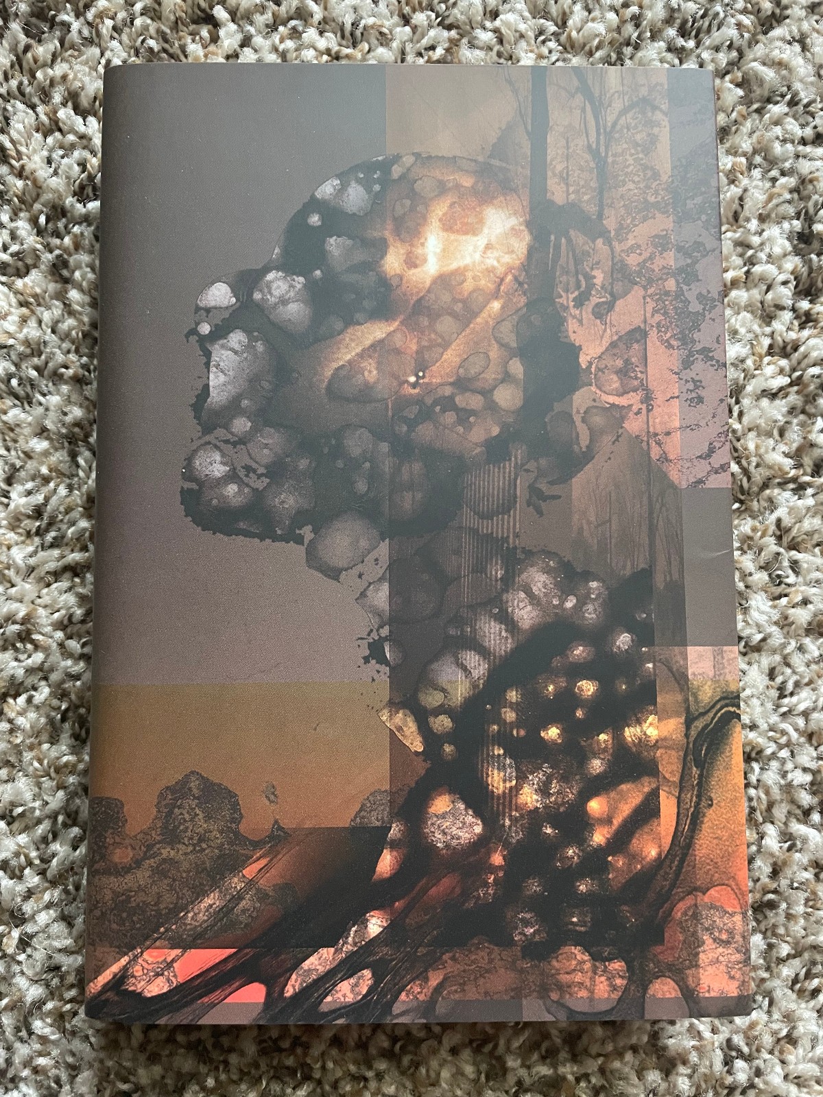 VISITING MAZE Michael Cisco 1st ed 300 copy SIGNED/NUMBERED Centipede Press HC