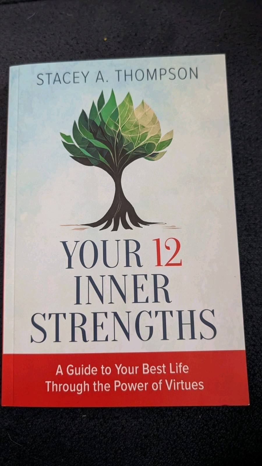 Your 12 Inner Strengths: A Guide to Your Best Life Through the Power of Virtues
