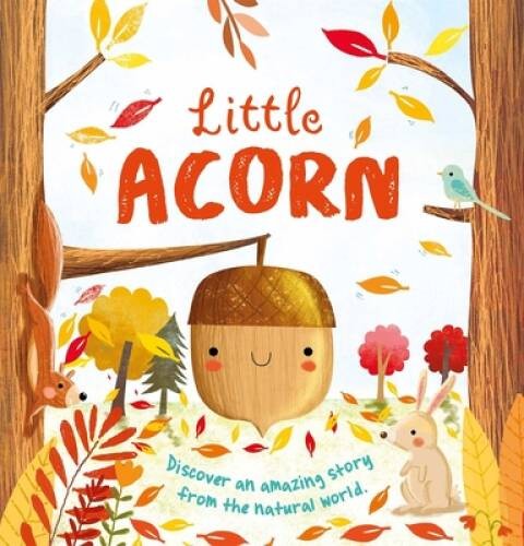 Little Acorn – Board book By IglooBooks – ACCEPTABLE