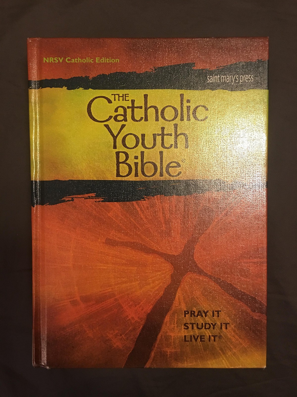 The Catholic Youth Bible (Catholic Edition) – hardcover Saint Mary’s Press