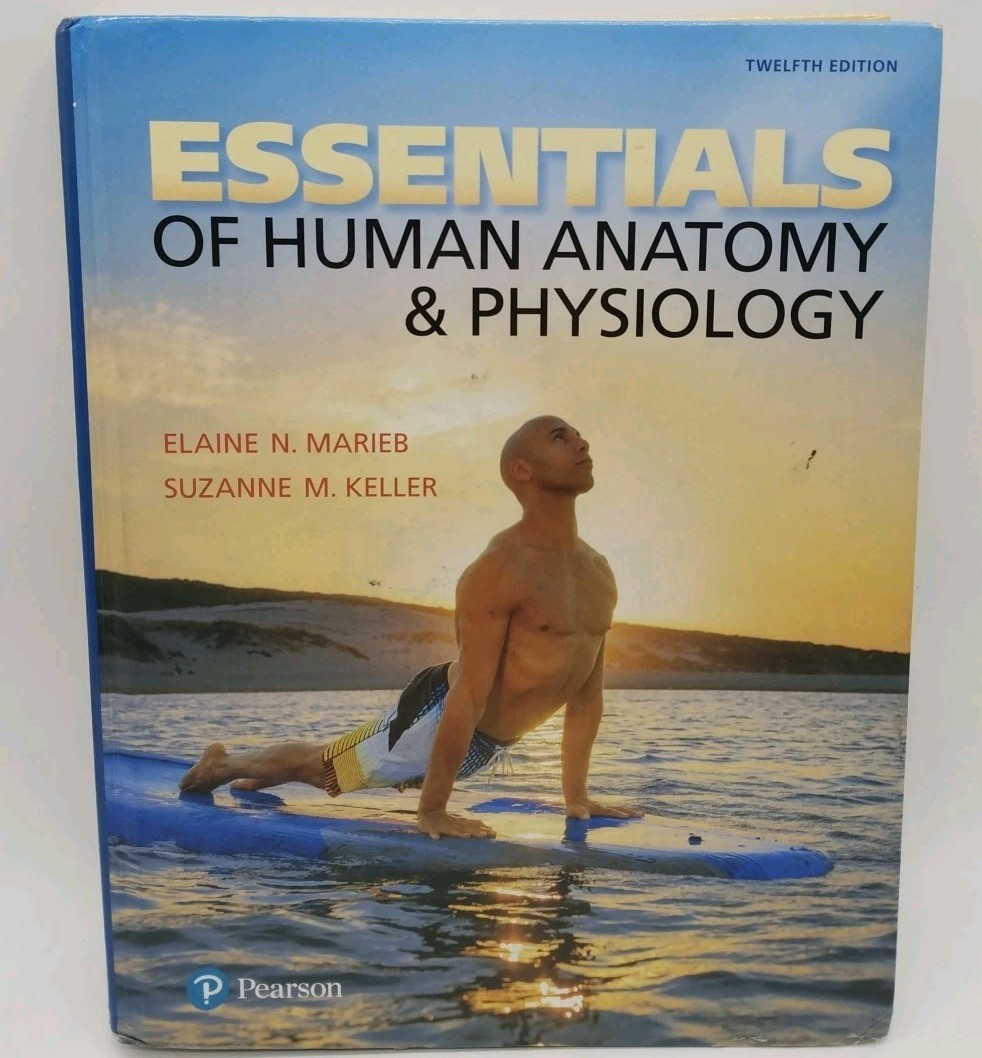 Essentials of Human Anatomy & Physiology 12th Edition-Hardcover
