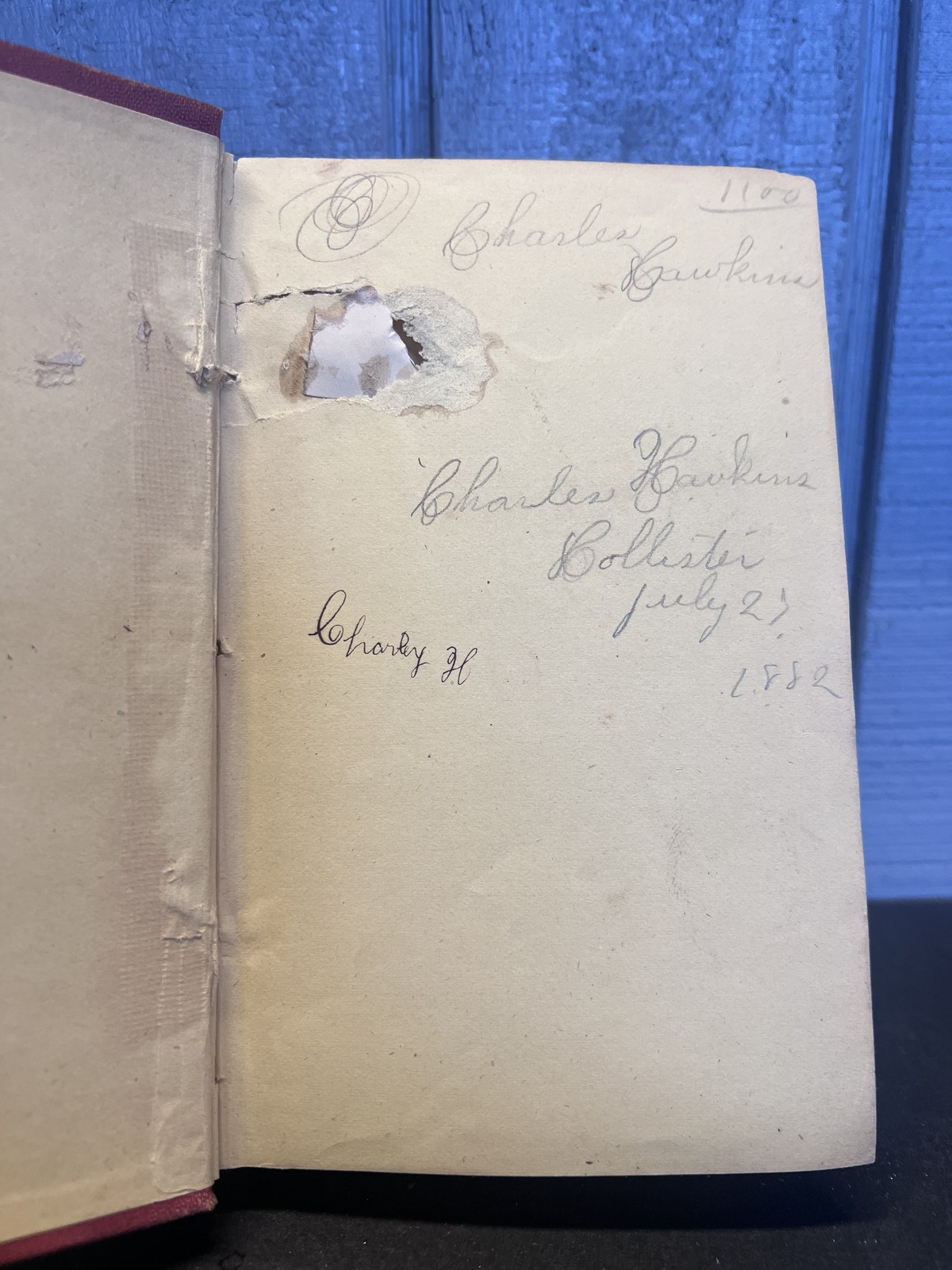 Dikes and Ditches Young America in Holland Belgium Oliver Optic 1874 Vintage
