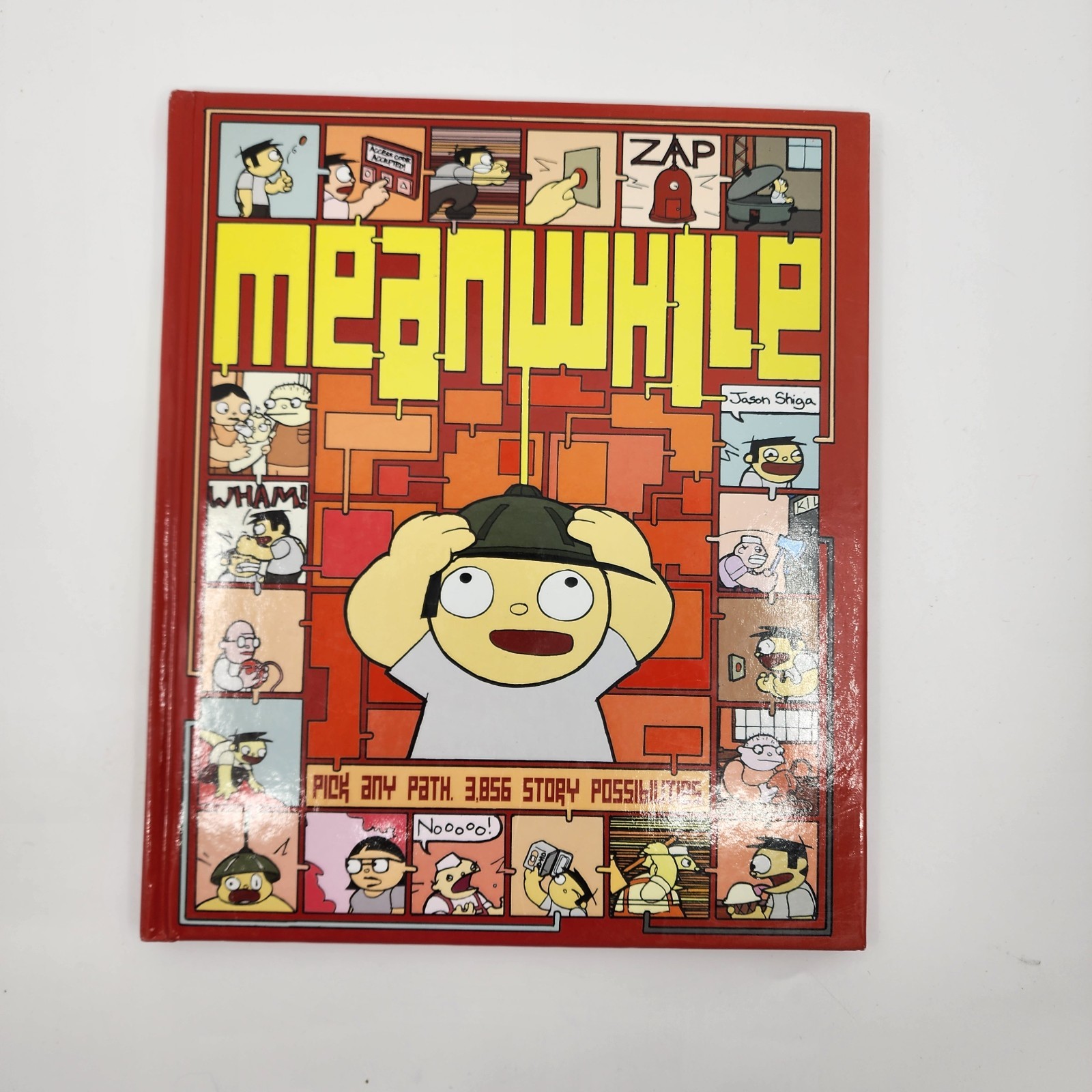 Meanwhile: Pick Any Path. 3,856 Story Possibilities by Jason Shiga