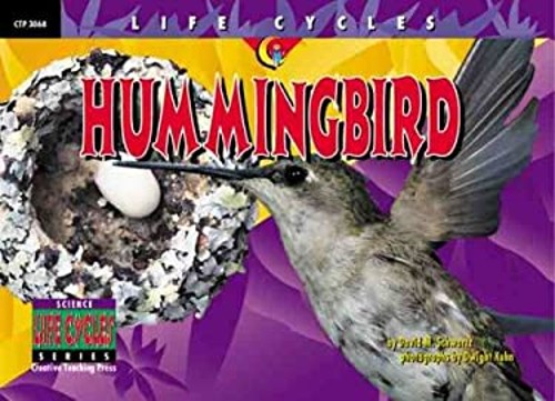 Hummingbird Paperback David M. Schwartz