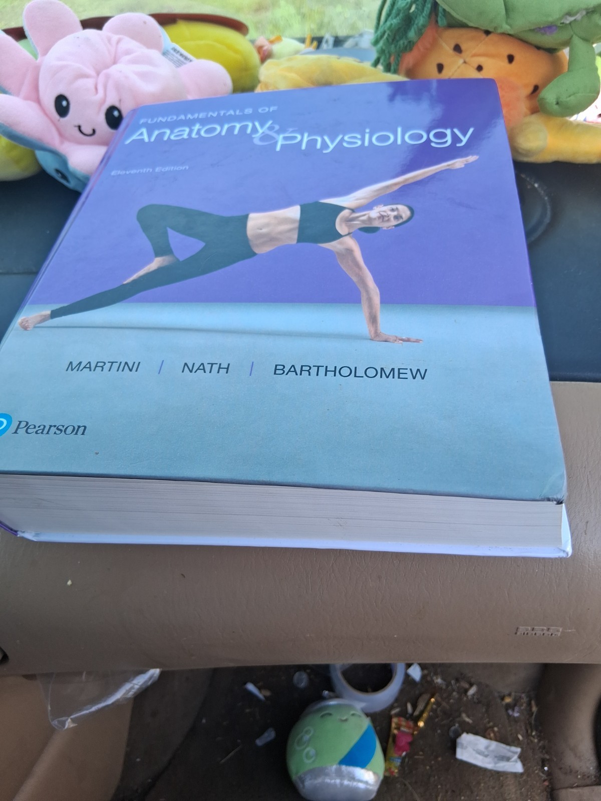 Fundamentals of Anatomy & Physiology (11th Edition)Hardcover