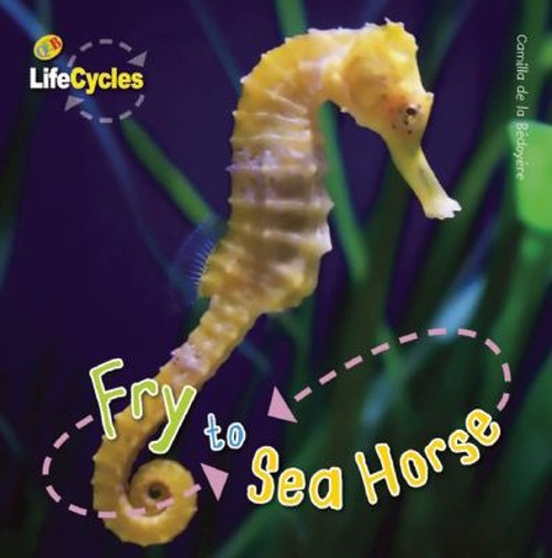 Fry to Seahorse Hardcover Camilla de la Bedoyere