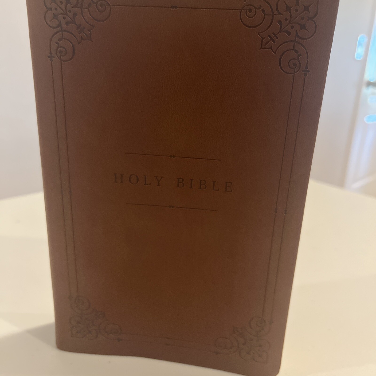 Holy Bible, Soft Touch Edition, Imitation Leather, Brown, Comfort