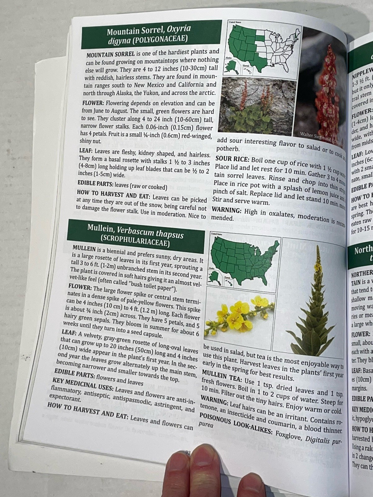 The Forager’s Guide to Wild Foods Book By Nicole Apelian, 2021 North American Ed