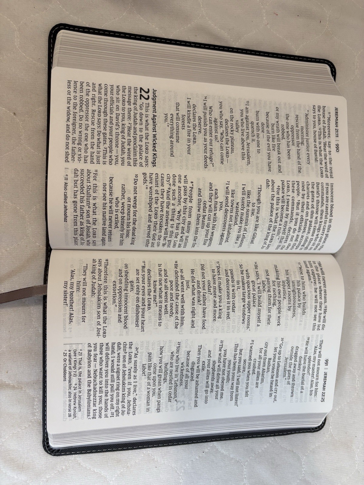 NIV Large Print Holy Bible Red Letter Gray Black Leathersoft Zondervan 2009