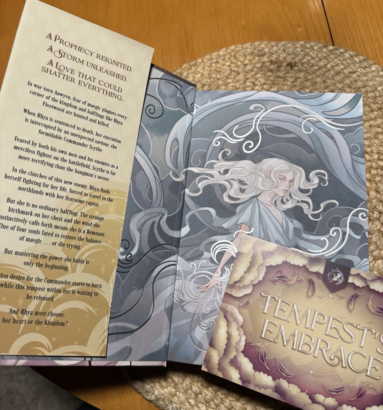 The Wind Weaver by Julie Johnson Exclusive Edition Hardcover Illustrated Fantasy