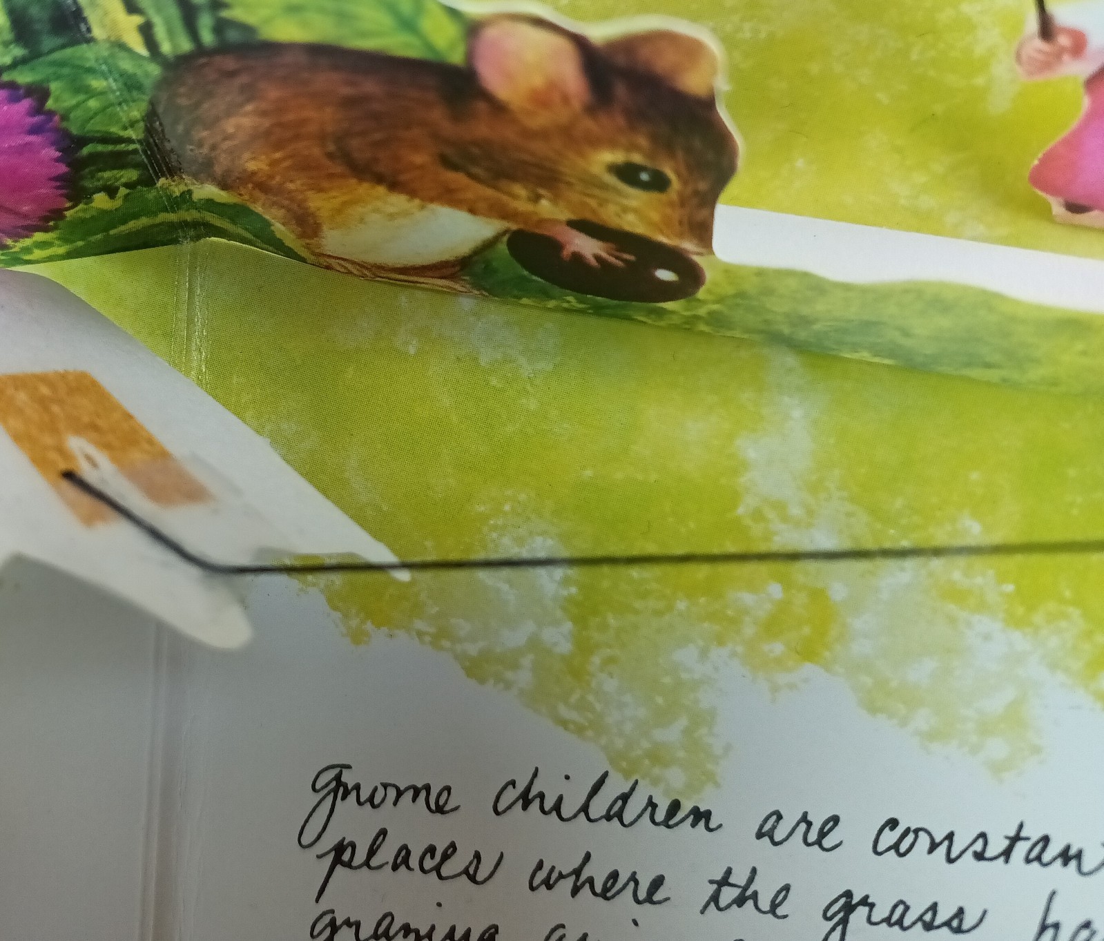 The Pop-Up Book of Gnomes ©1979 Vintage Abrams English Translation Cottagecore