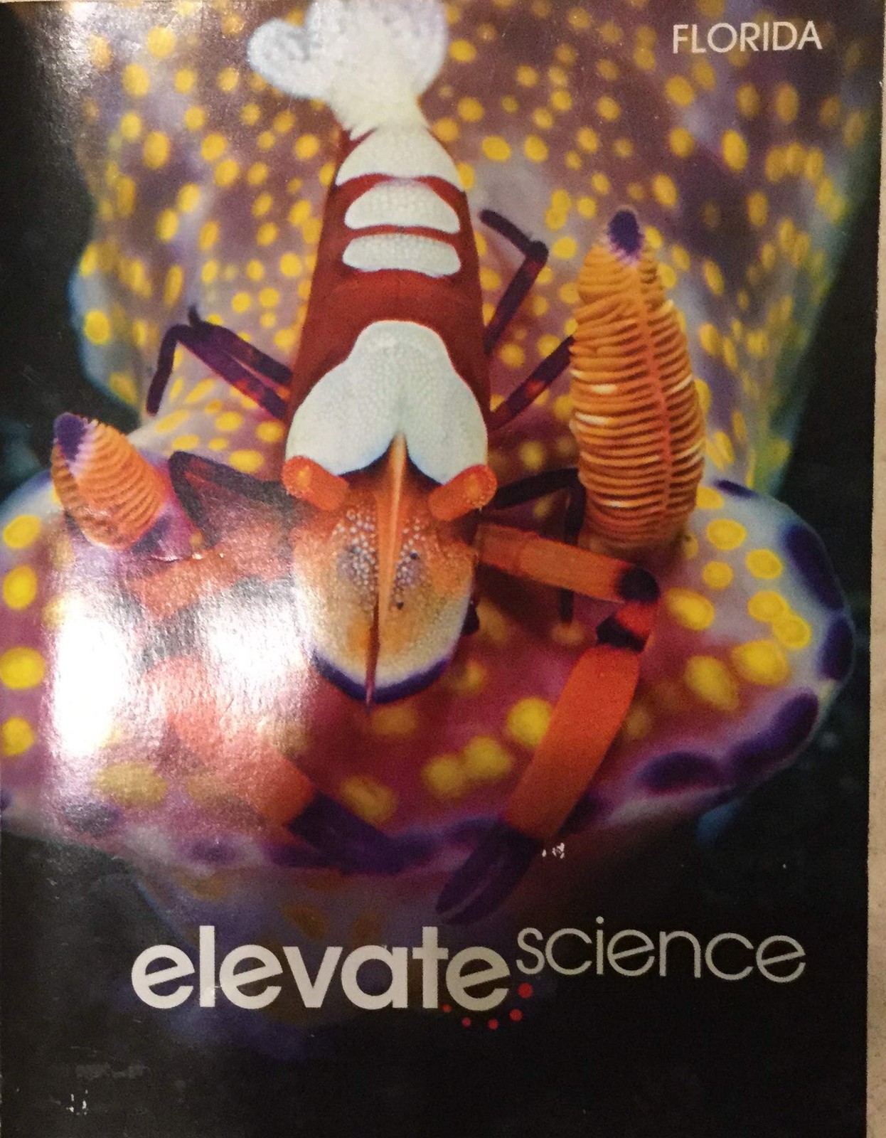 Elevate Science Grade 5 Florida [Unknown Binding] Zipporah Miller