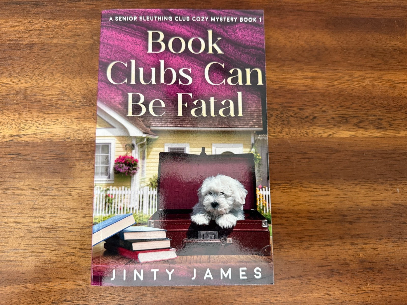 Book Clubs Can Be Fatal: A Senior Sleuthing Club Cozy Mystery (2023, TPB)