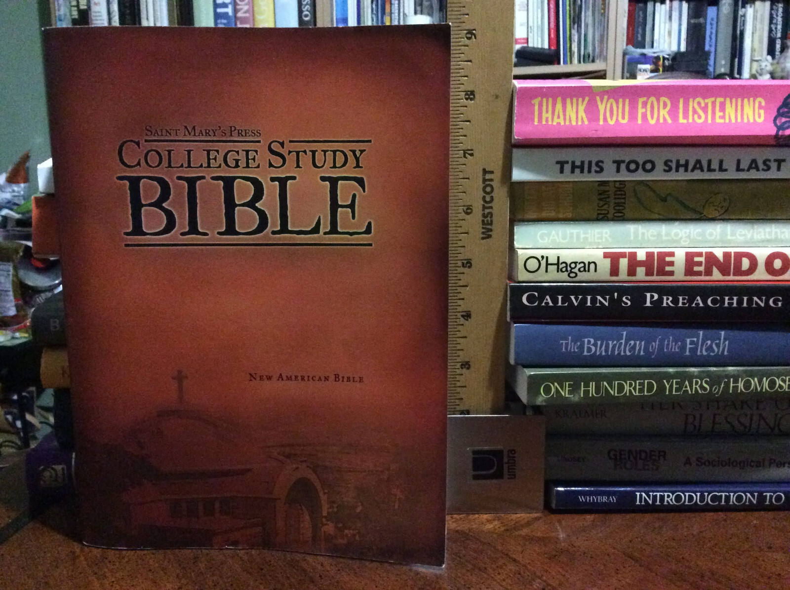 Saint Mary’s Press College Study Bible: New American Bible 2009 Paperback VG