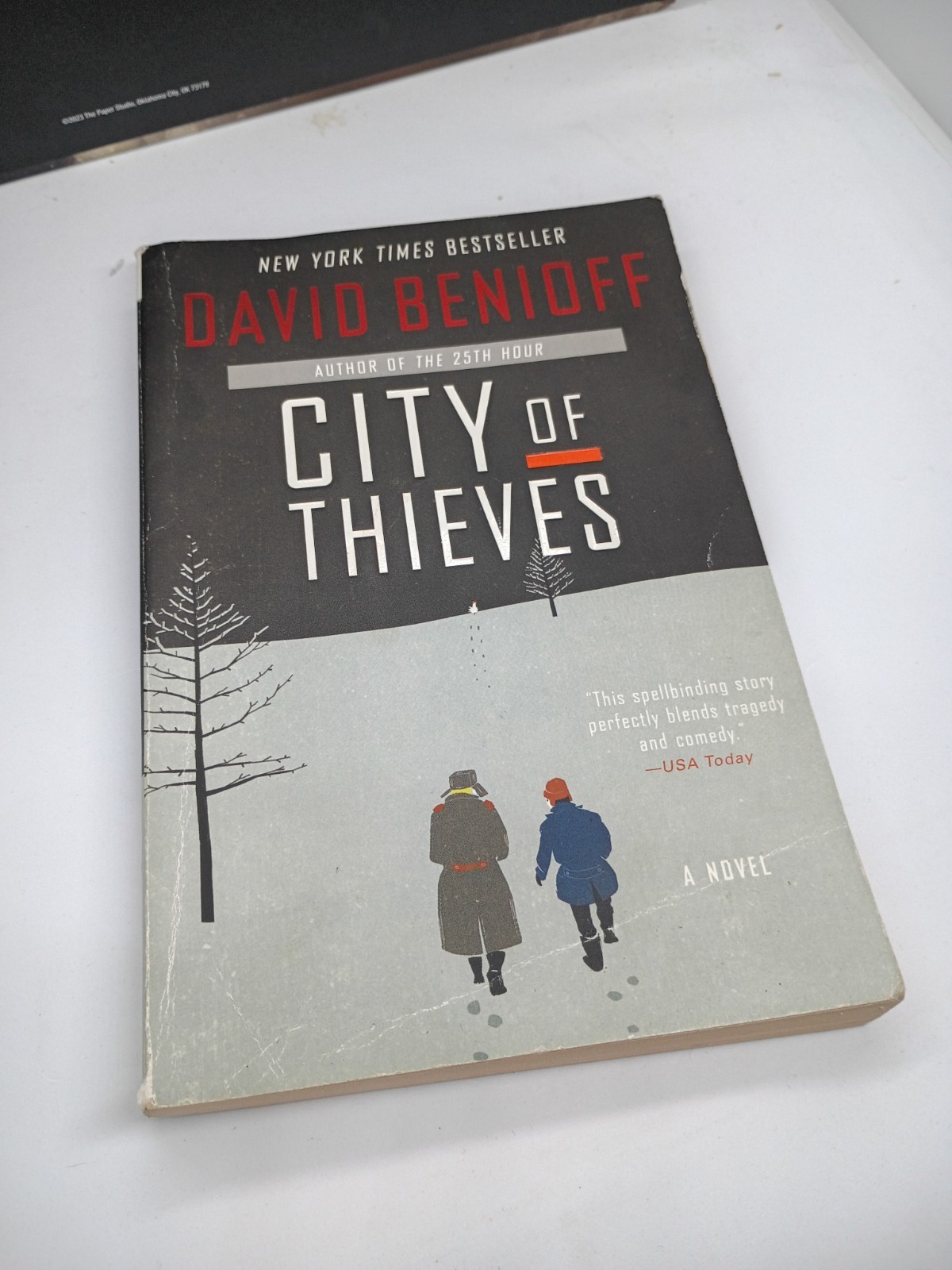 City of Thieves: A Novel by David Benioff (English) Paperback