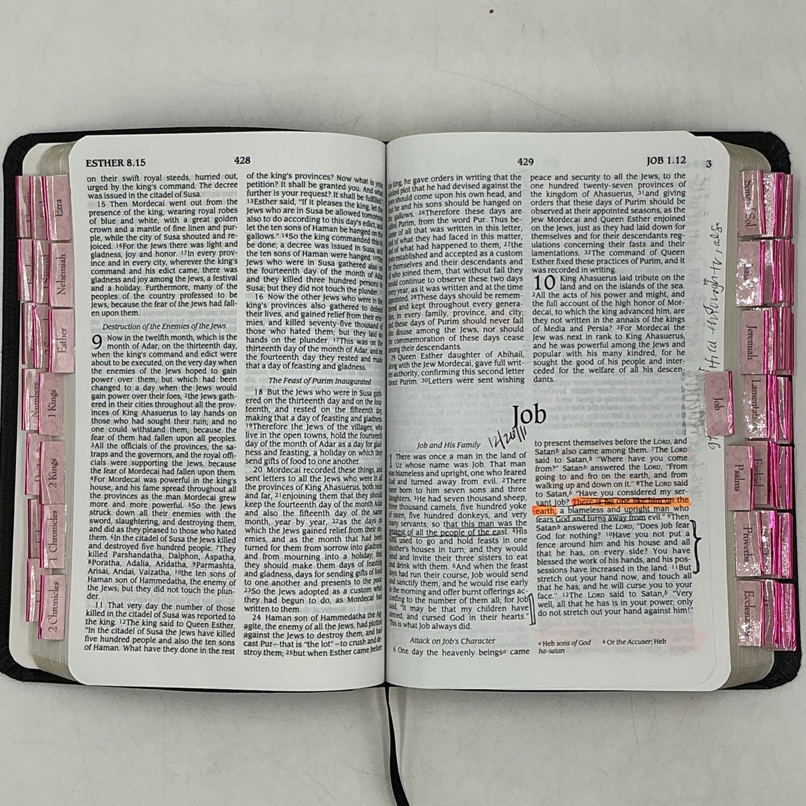 NRSV New Revised Standard Version Premium Bible Black Bonded Leather Abingdon