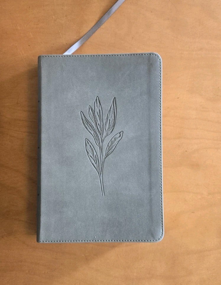 The Holy Bible Christian Standard Bible Holman 2017 Leather Bound CBS