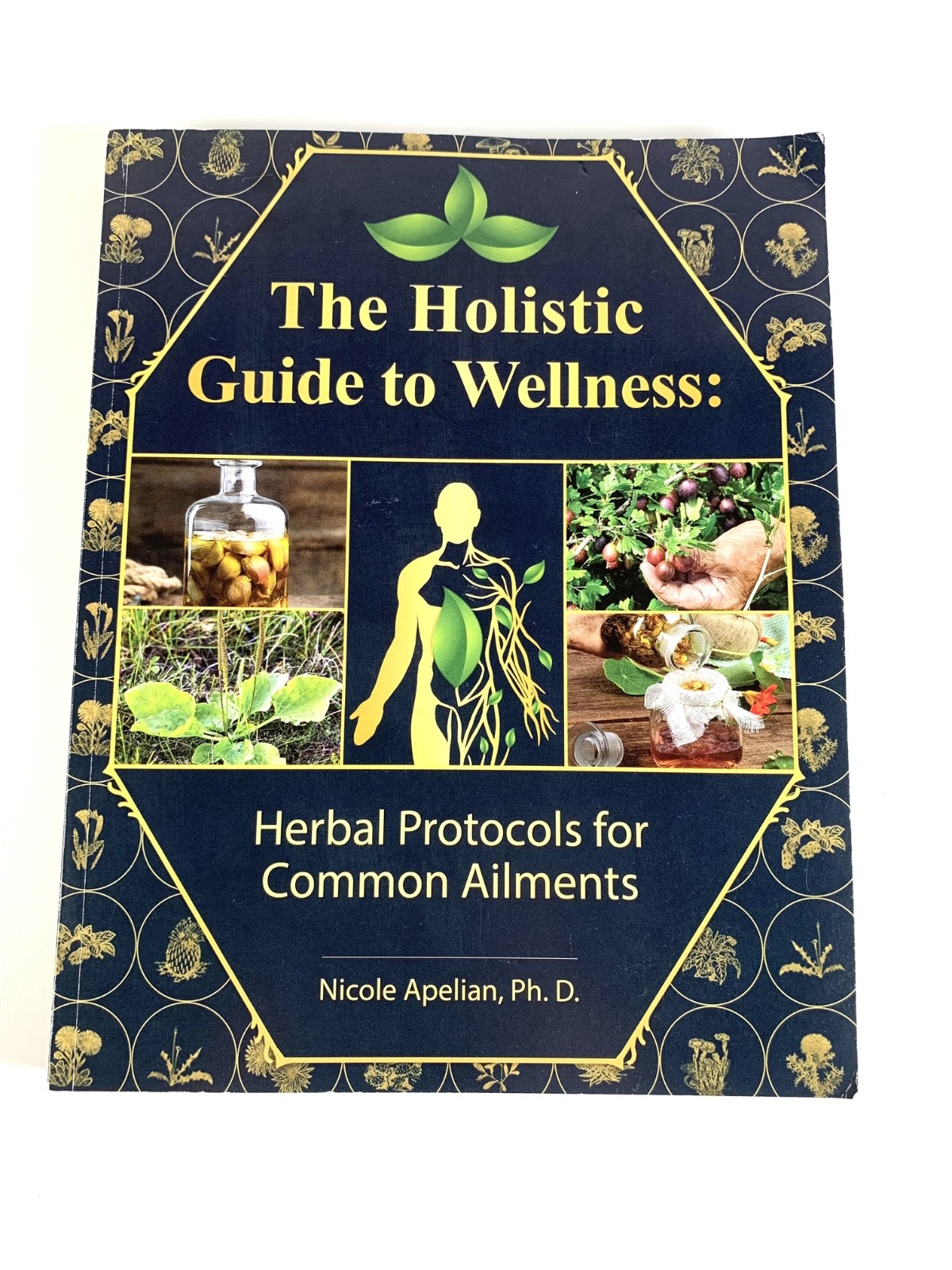 Holistic Guide to Wellness: Herbal Protocols for Common Ailments Nicole Apelian