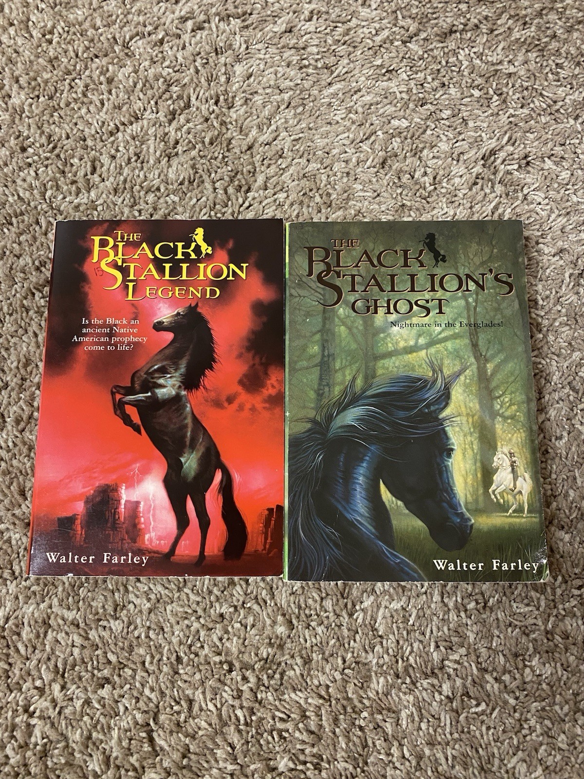 Lot of 12 The Black Stallion Series By Walter Farley Paperback