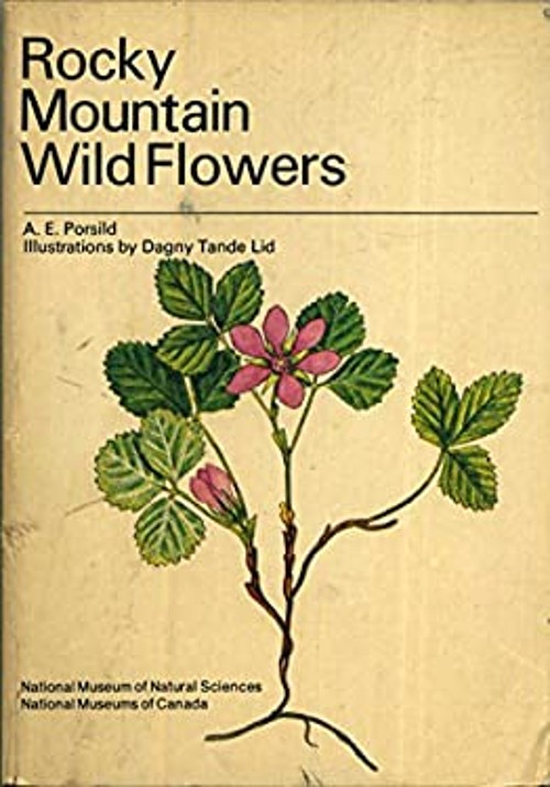 Rocky Mountain Wild Flowers Mass Market Paperbound A. E. Porsild
