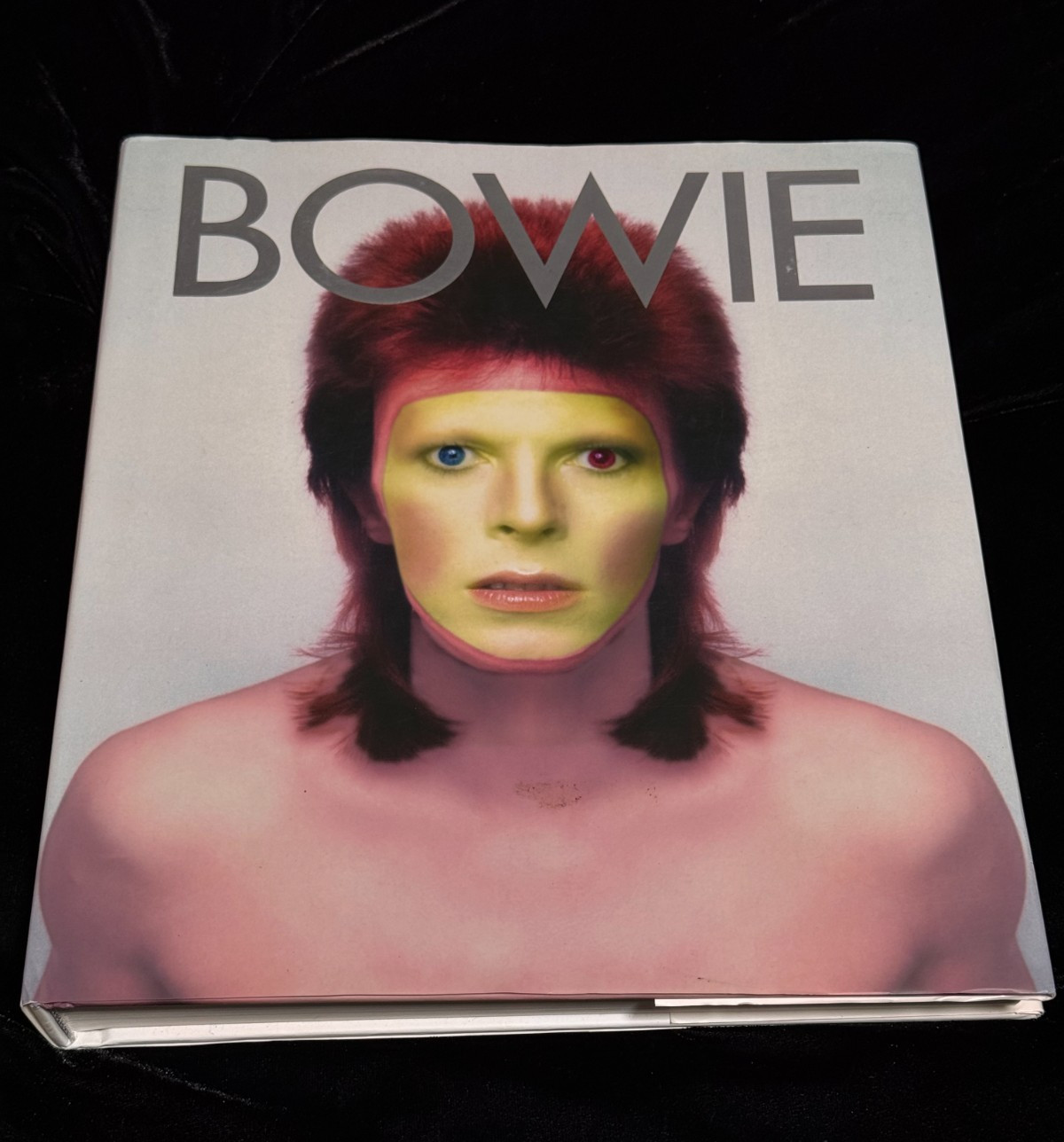 Bowie: Album by Album Paolo Hewitt First Ed Hardcover 2013 Voyageur ISBN 9781