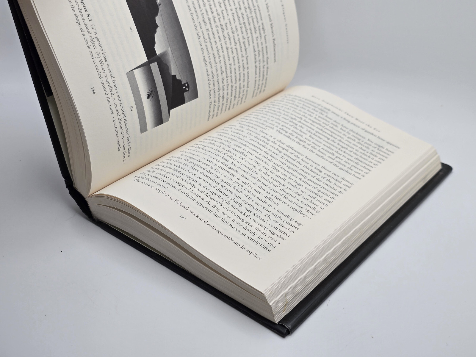 Elegant Universe by Brian Greene (1999, Hardcover)
