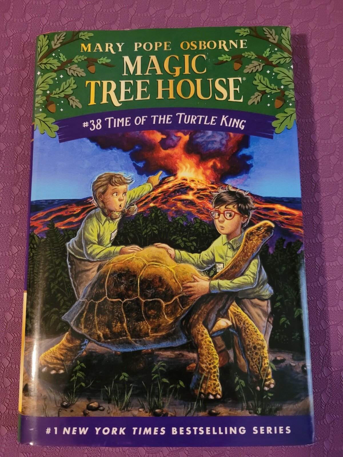 Time of the Turtle King (Magic Tree House, Bk. 38)
