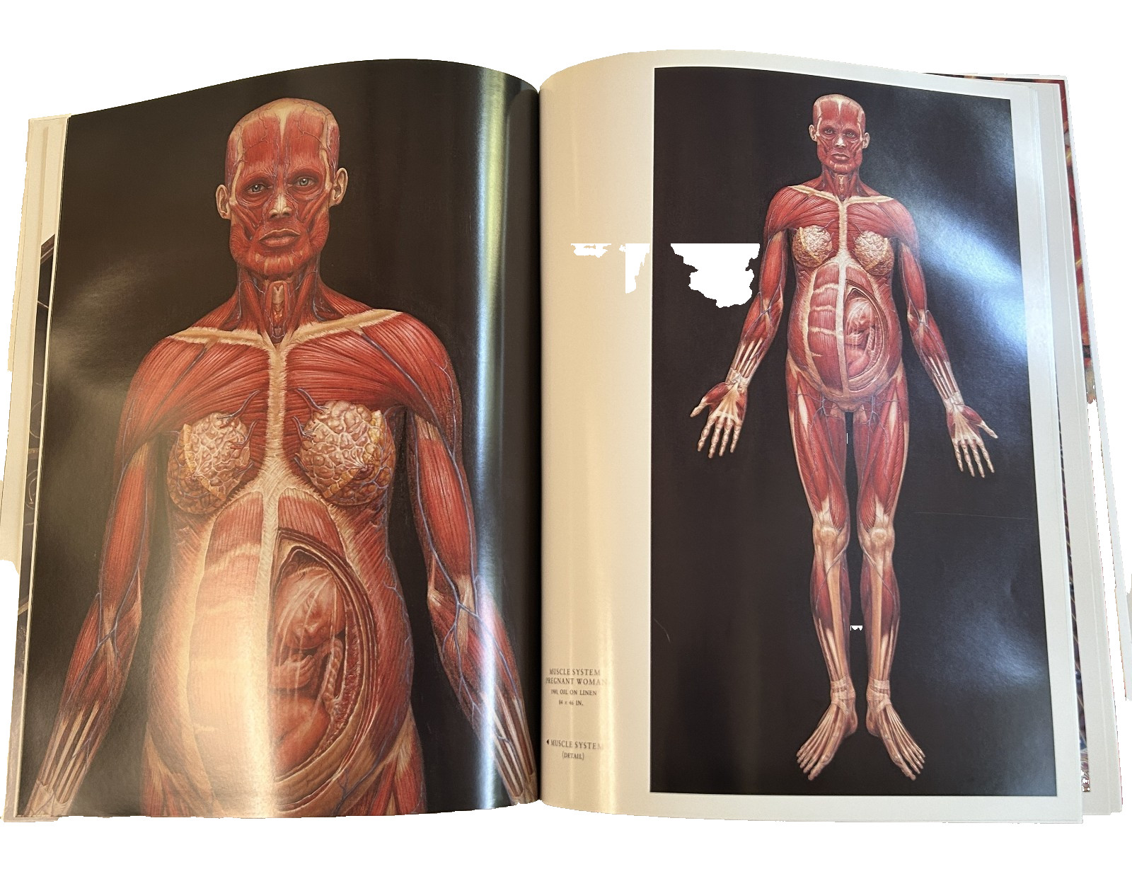 SACRED MIRRORS: Visionary Art of Alex Grey – HIGH GRADE – GLOSSY