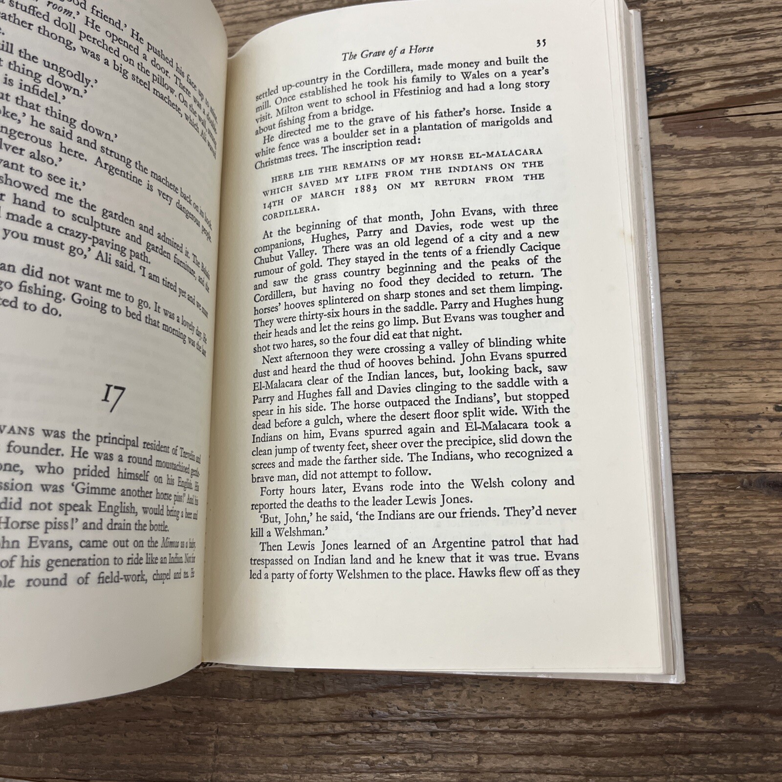 In Patagonia by Bruce Chatwin (1978, Hardcover)
