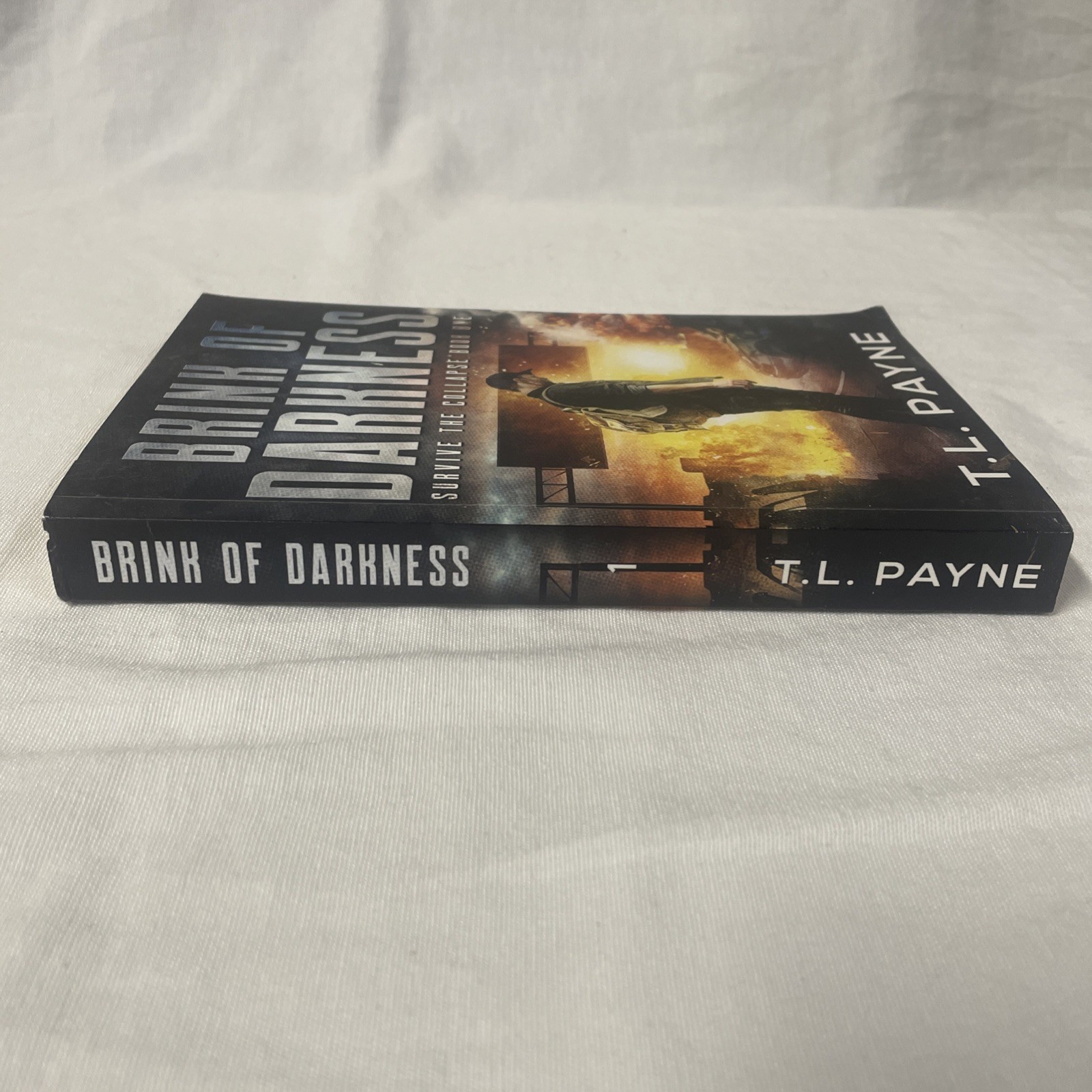 Brink of Darkness (Survive the Collapse). Author: T.L. Payne
