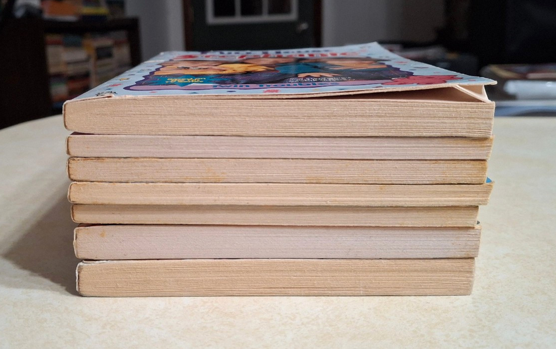 Full House Books Lot Vintage 1990s Stephanie Michelle Paperbacks Novels Chapter