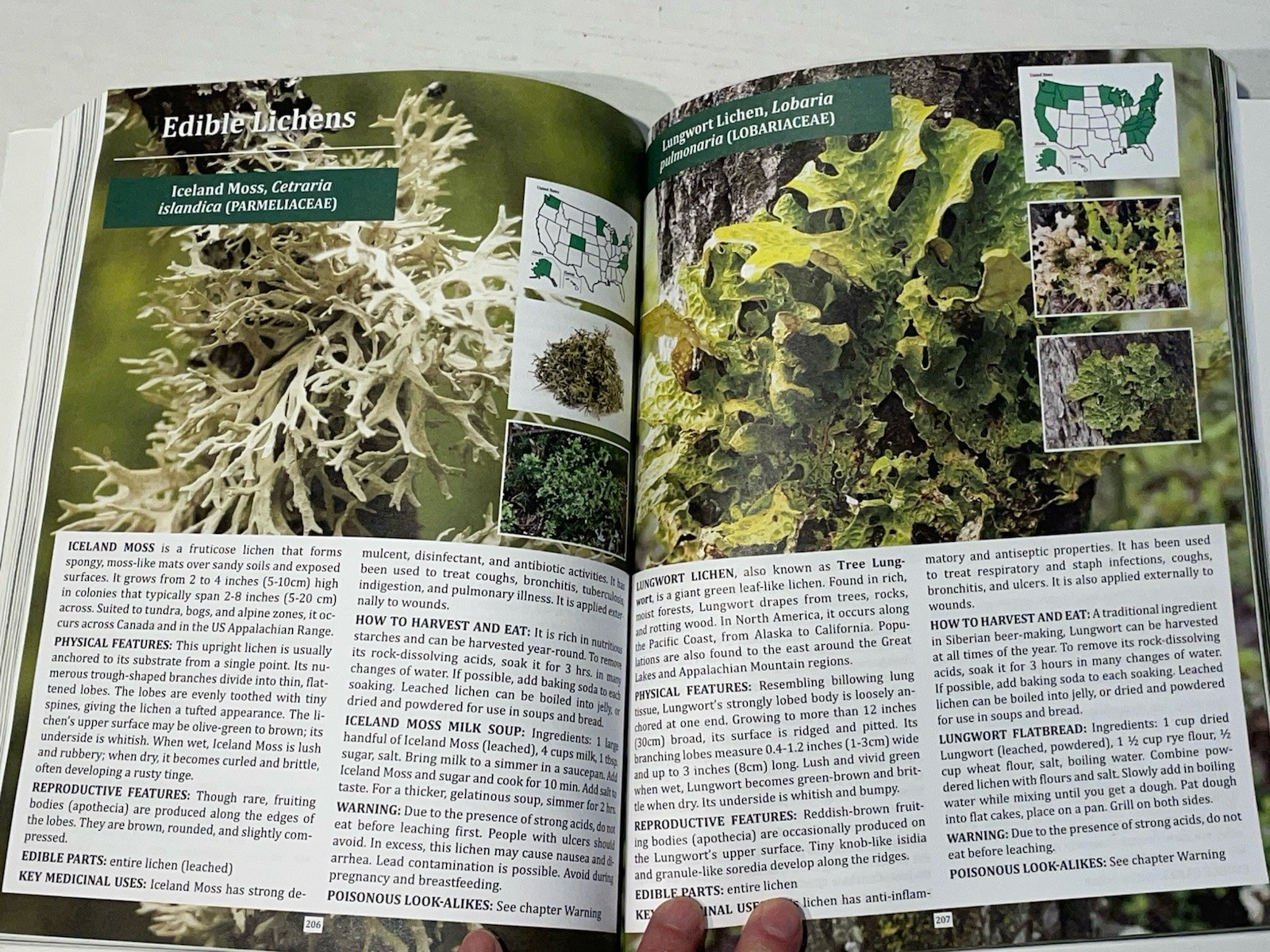 The Forager’s Guide to Wild Foods Book By Nicole Apelian, 2021 North American Ed