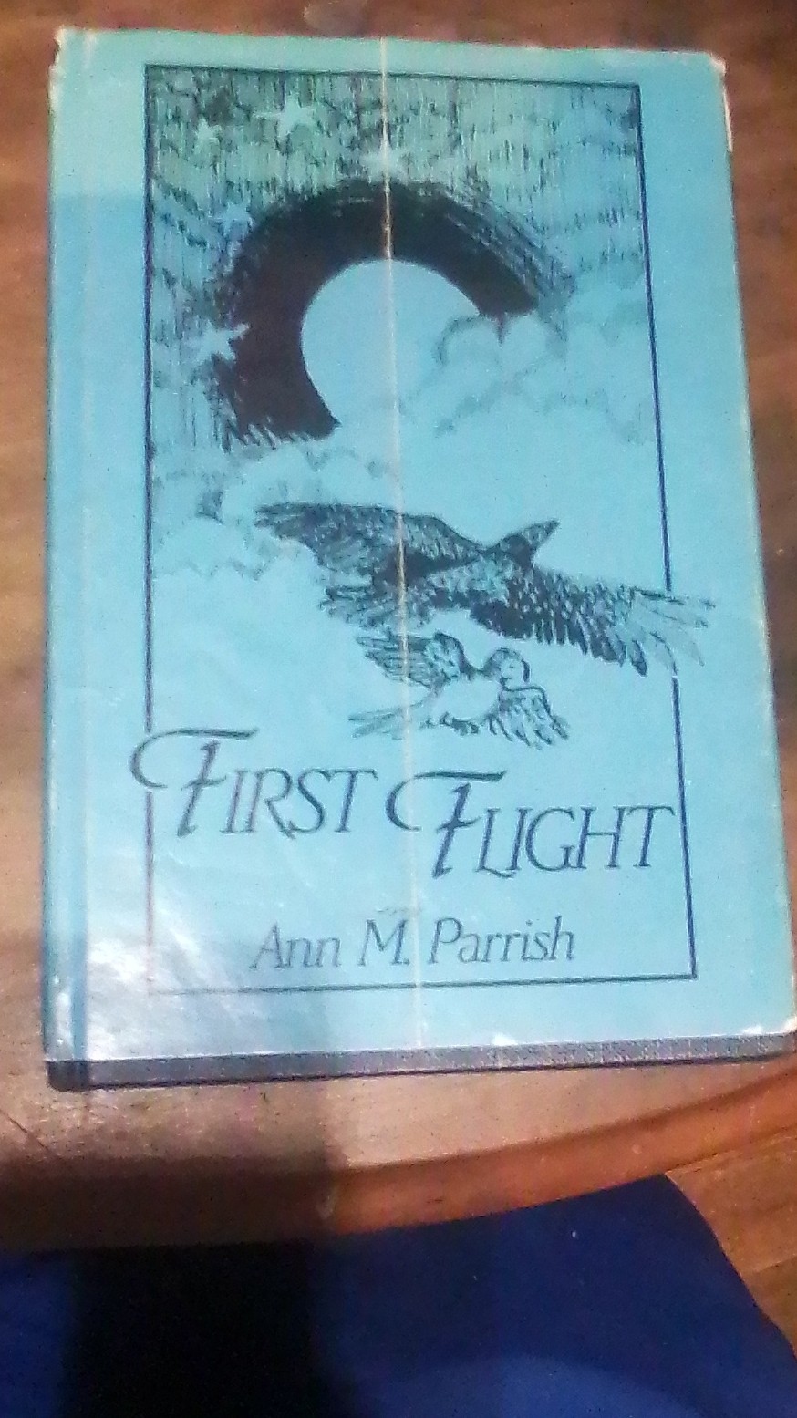 Vantage Press First Flight Ann M. Parrish First Ed Hardcover 1989