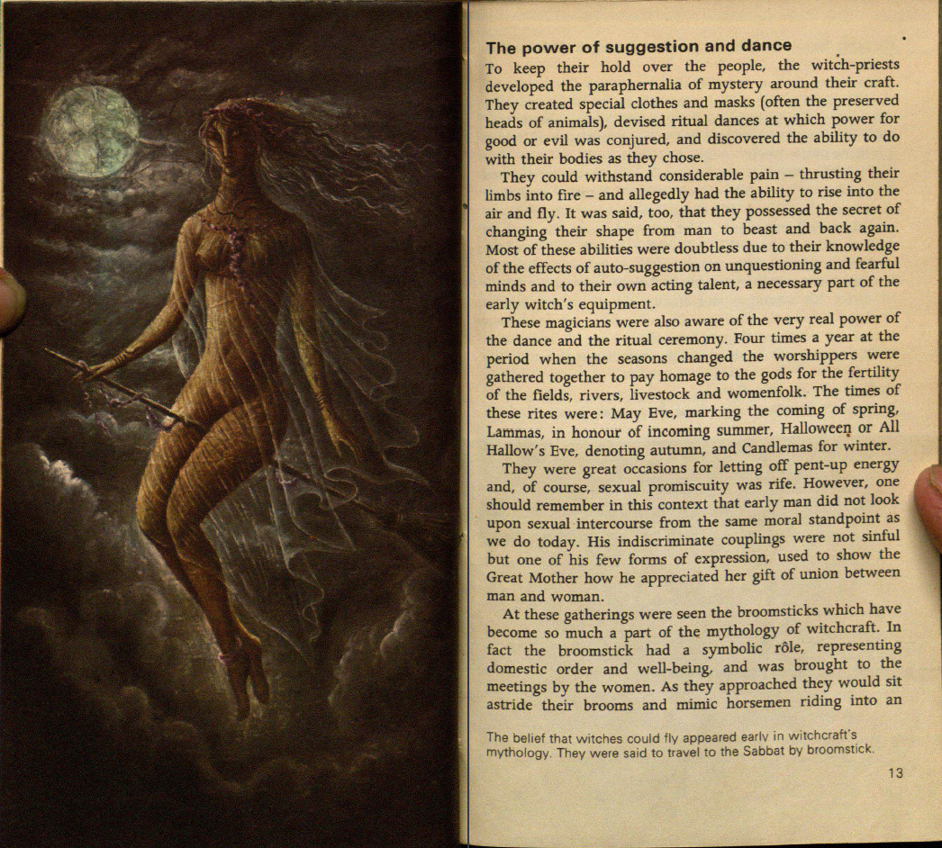 477 BOOKS – Witchcraft – Witches, Pagans, Magic, Demonology, Spiritism – CD/DVD