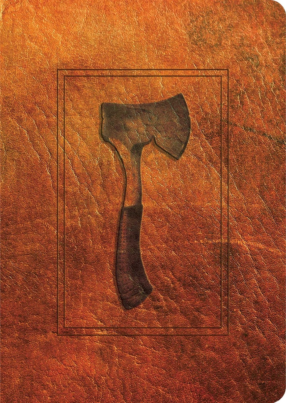 Hatchet: 30th Anniversary Edition – Paulsen, Gary|Willis, Drew – Good – See …
