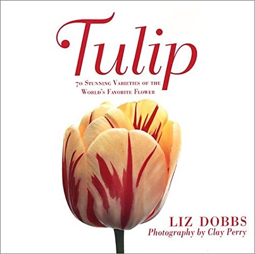 Tulip: 70 Stunning Varieties of the World’s Favorite Flower – hardcover Dobb…