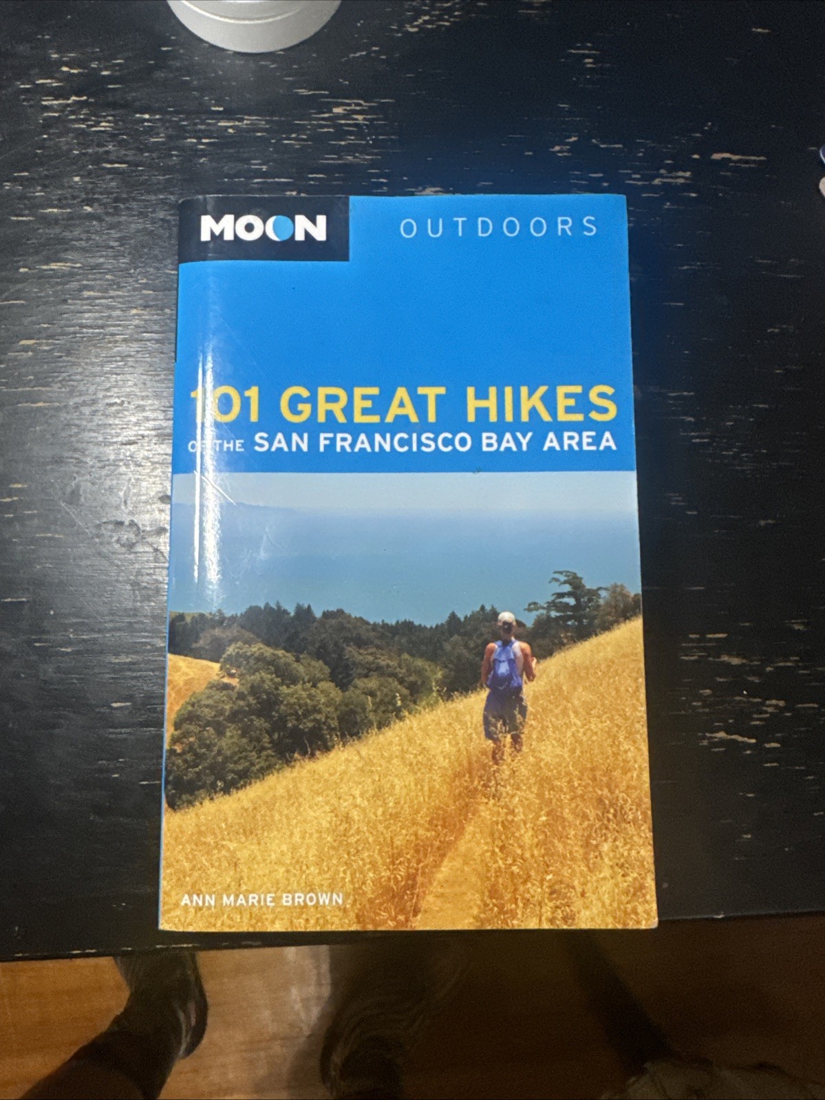 Moon 101 Great Hikes of the San Francisco Bay Area (2014, Trade Paperback)