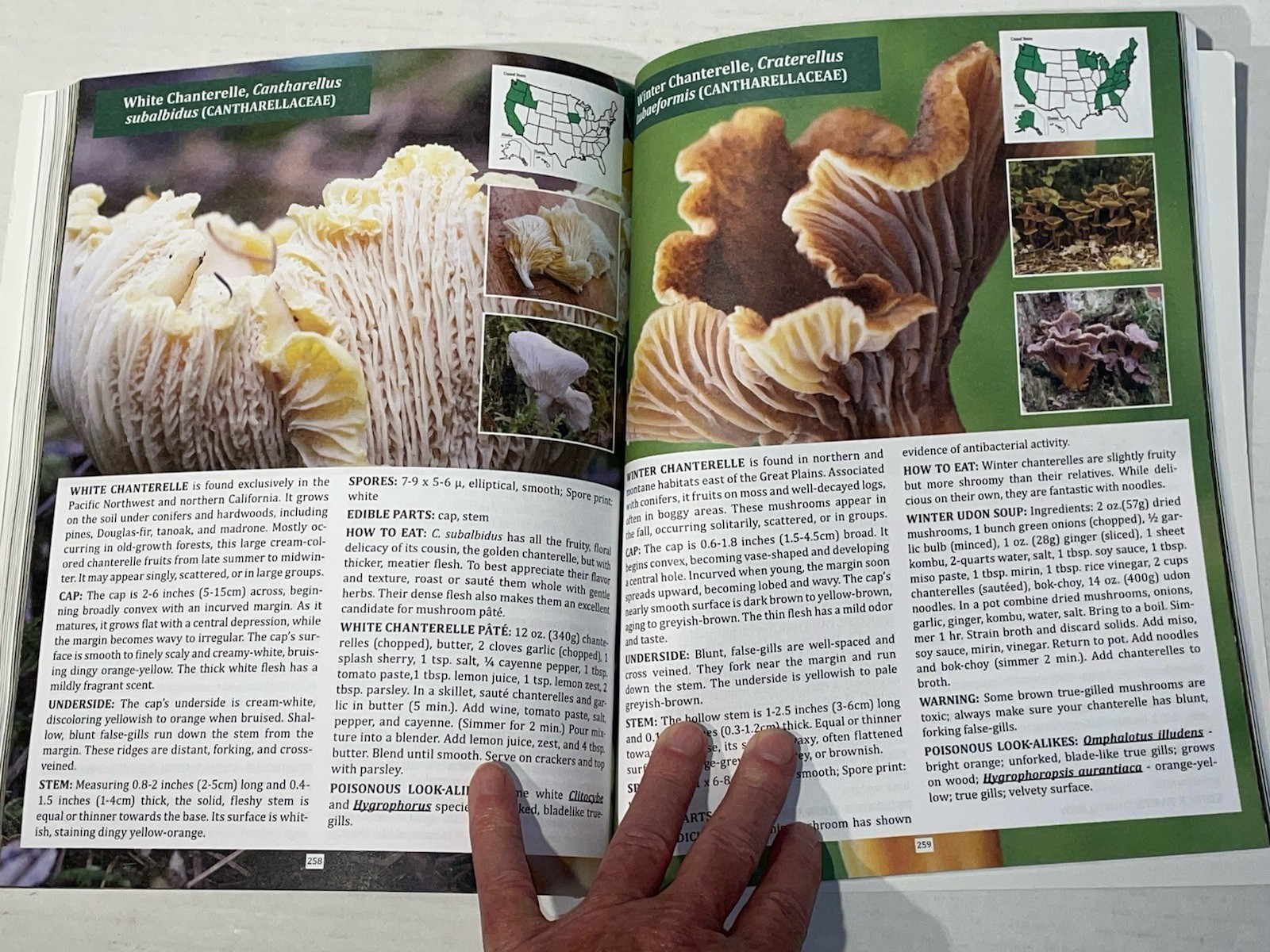 The Forager’s Guide to Wild Foods Book By Nicole Apelian, 2021 North American Ed