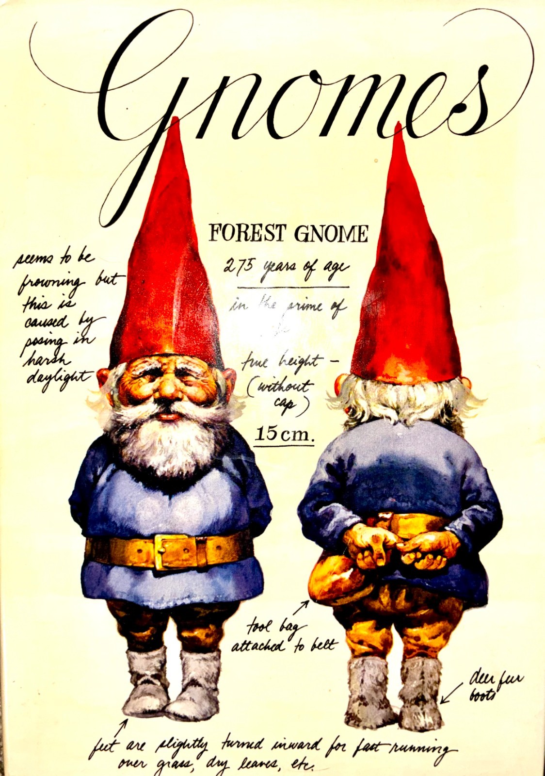 Gnomes Wil Huygen Rien Poortvliet Vintage 1977 Hardcover Harry N Abrams