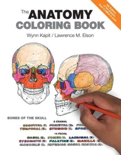 The Anatomy Coloring Book – Paperback By Wynn Kapit – GOOD