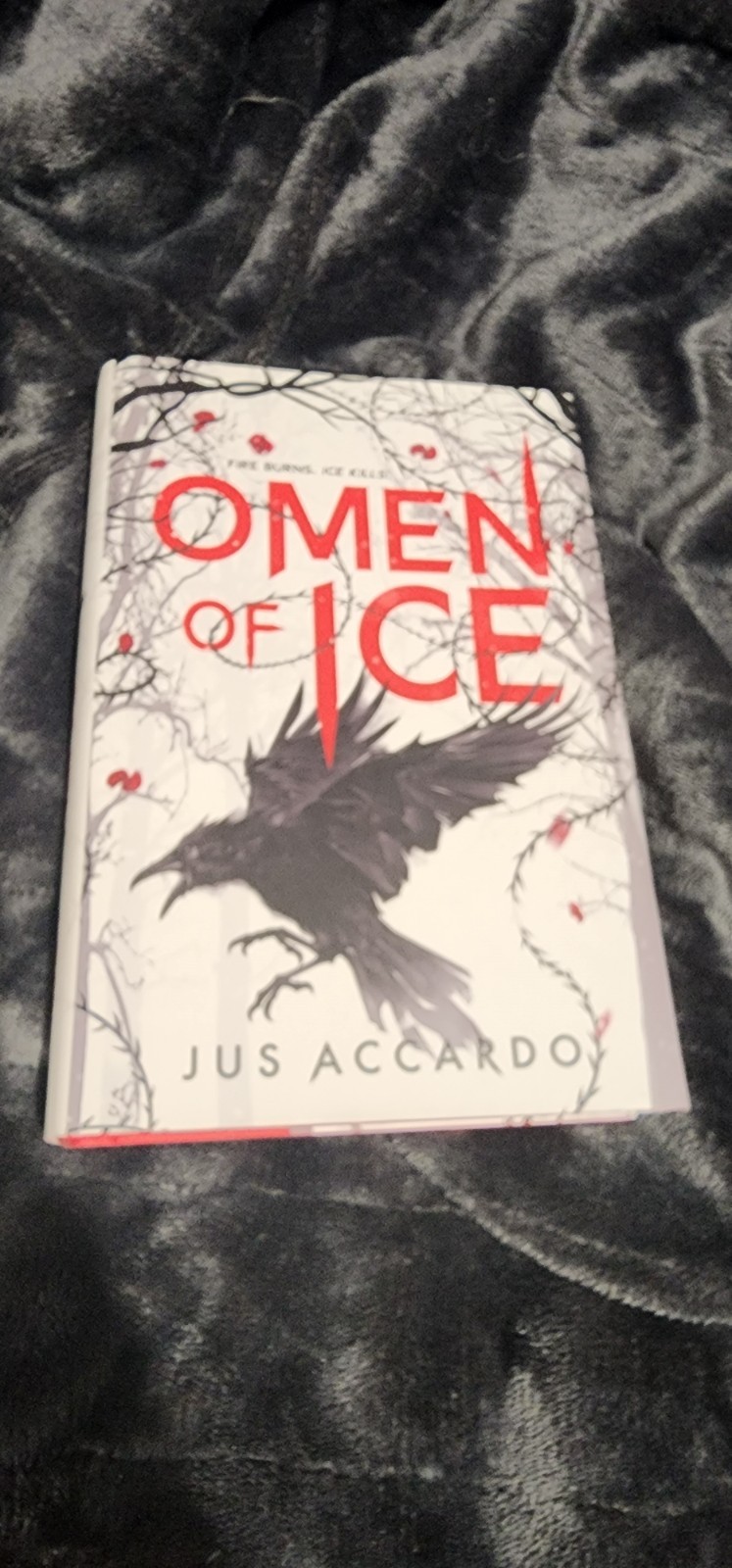 Omen of Ice by Jus Accardo (2023, Hardcover)