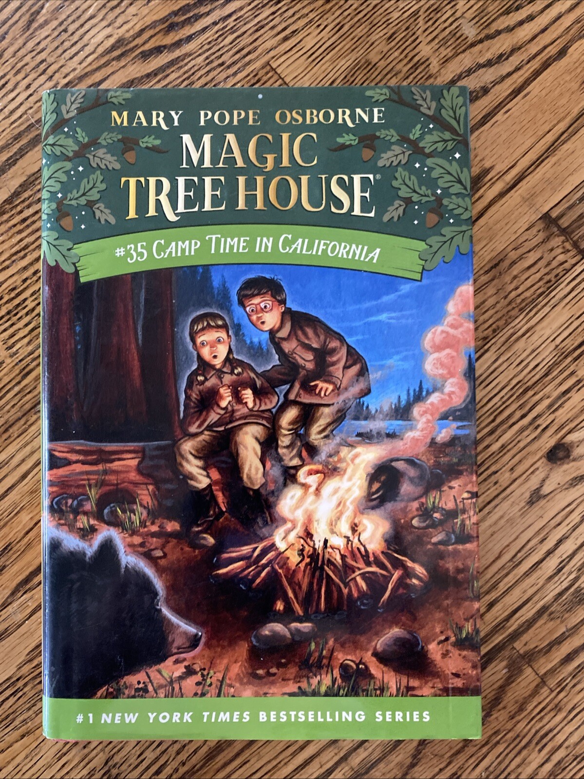 Camp Time in California by Mary Pope Osborne (2021, Hardcover)