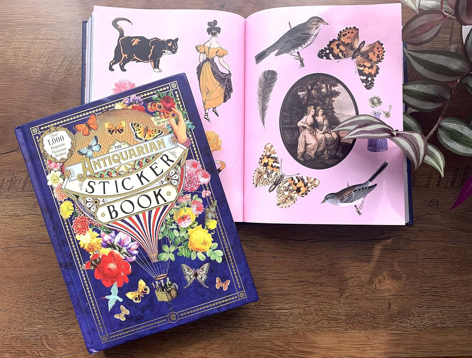 The Antiquarian Sticker Book: Over 1,000 Exquisite Victorian Stickers